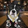 s_drip